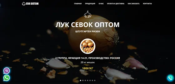 Лук Севок Оптом